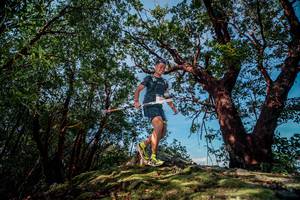 BIB: 
                            <button type="button" onclick="openModal(28529947)" class="btn btn-primary btn-sm float-right btn-popup" data-toggle="modal" data-target=".modal-high-quality">
                        <i class="fas fa-shopping-cart"></i> Add to Cart
                    </button>
                                            <button type="button" onclick="isThisMe(28529947, true)" class="btn btn-success btn-sm float-right btn-popup btn-isme hidden" data-toggle="tooltip" data-placement="bottom" title="นี่คือรูปของคุณใช่ไหม คลิกที่นี่เพื่อเอาเข้าอัลบั้ม">
                        <i class="fas fa-plus"></i> Add to album
                    </button>
                    <button type="button" onclick="isThisMe(28529947, false)" class="btn btn-warning btn-sm float-right btn-popup btn-isnotme hidden">
                        <i class="fas fa-ban"></i> Remove from album
                    </button>